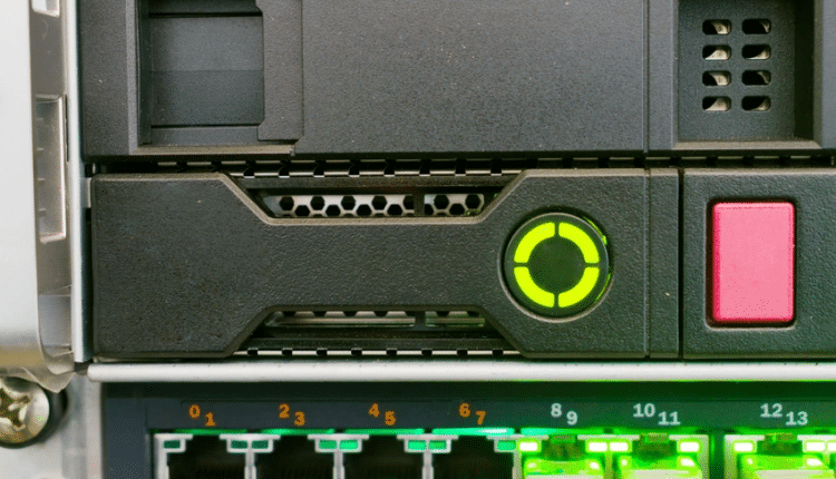 باگ دی ان اس