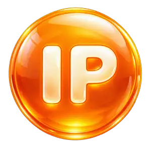 اختصاصی بودن IP